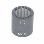 Schoeps MK 2 S Omni Review: First recording impressions