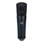Warm Audio WA-87 R2B Review: Microphone test summary