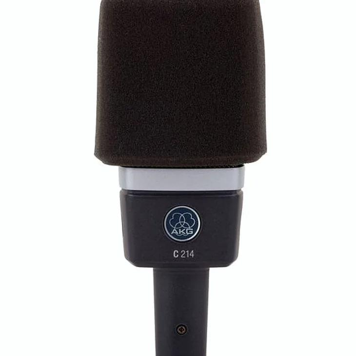 AKG C214 Stereo Set Review: Microphone test summary