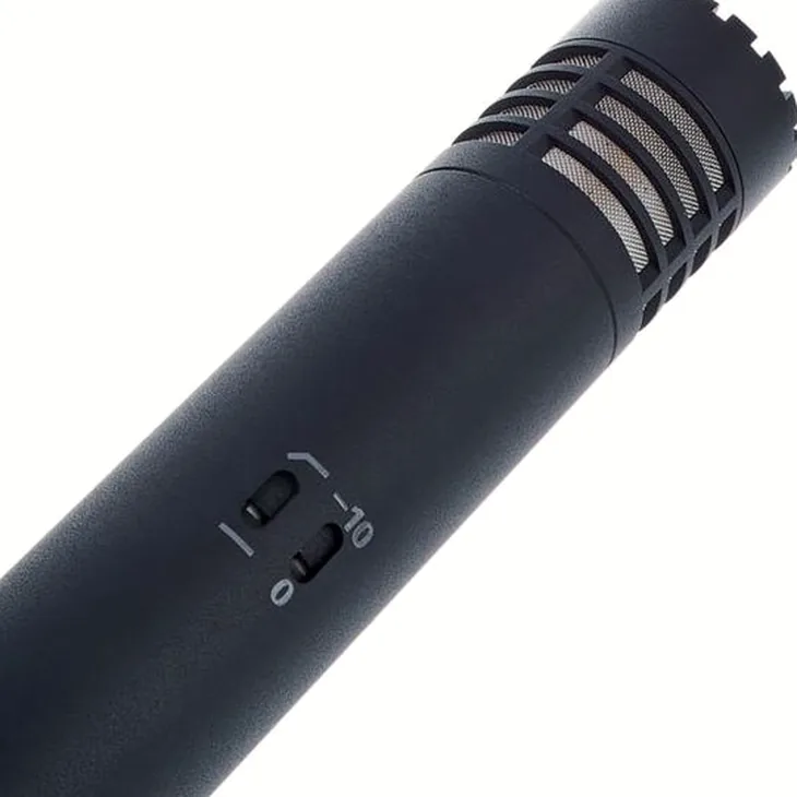 Audio-Technica AT 4021 Review: Before you buy this mic