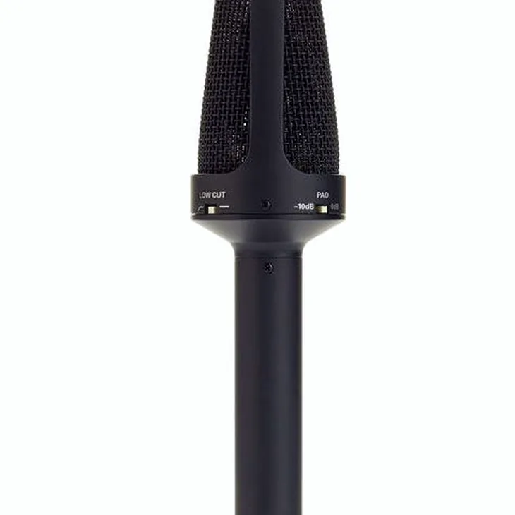 Audio-Technica BP4025 Review: Checking reliability in the mix