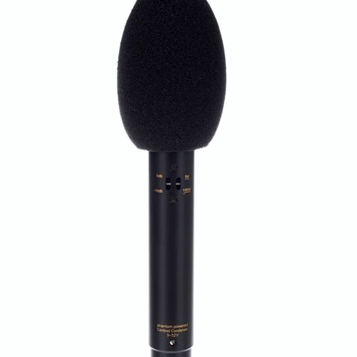 Audix ADX 51 Review: The ultimate guide to this model