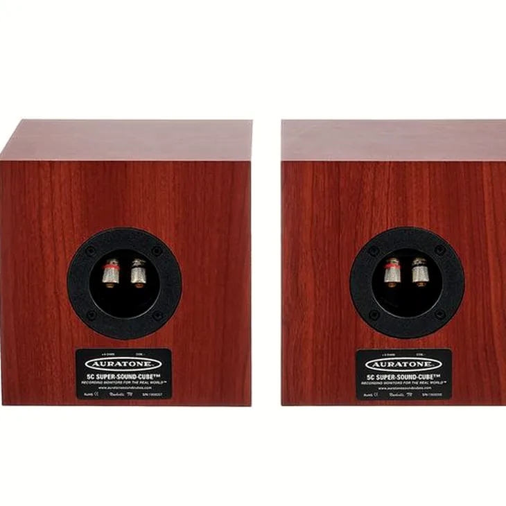 Auratone 5C Super Sound Cube Classic Review: Hit or miss at this price point?