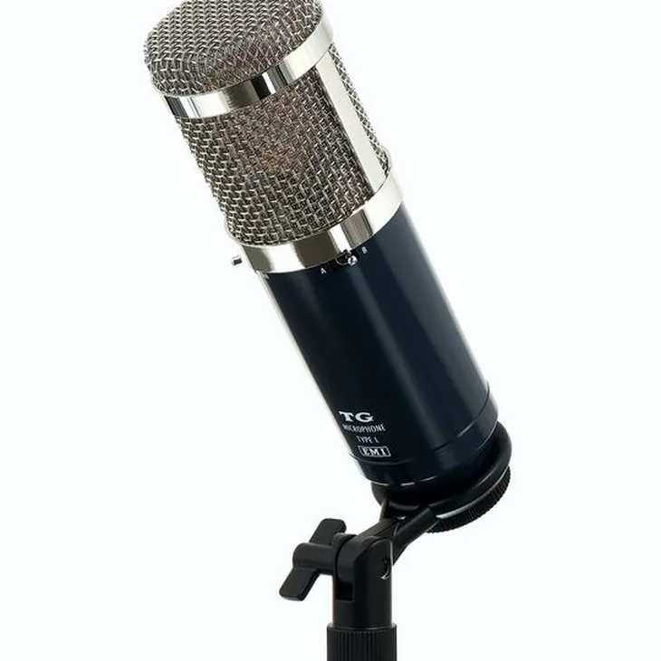 Chandler Limited TG Microphone Type L Review: Build quality check