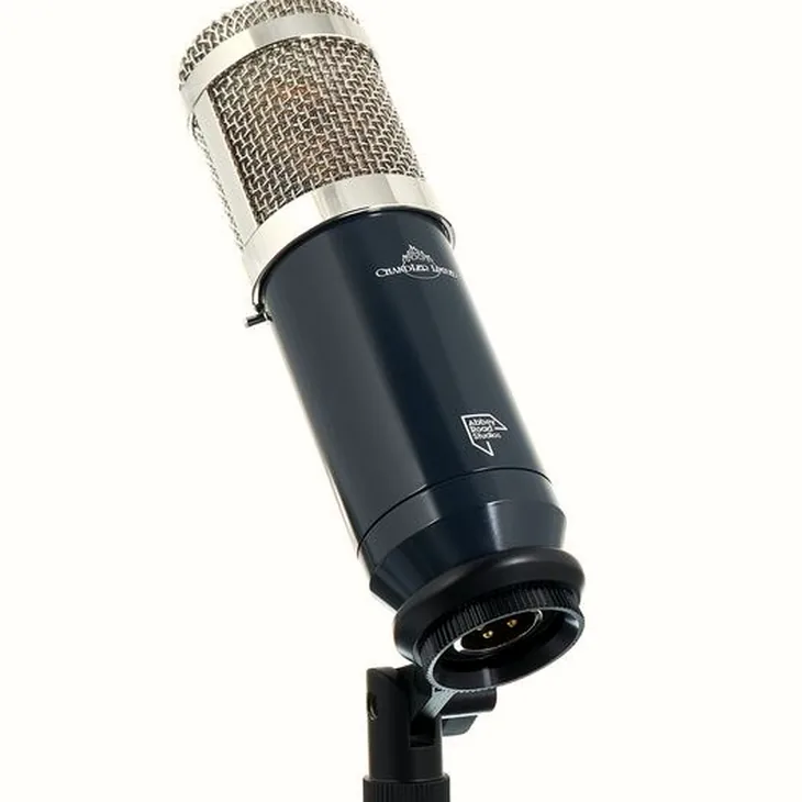 Chandler Limited TG Microphone Type L Review: Build quality check