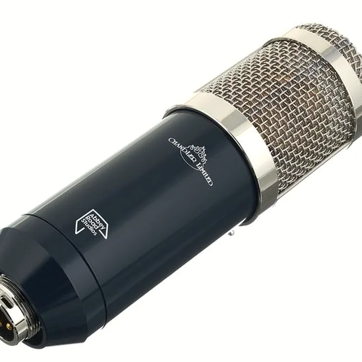 Chandler Limited TG Microphone Type L Review: Build quality check