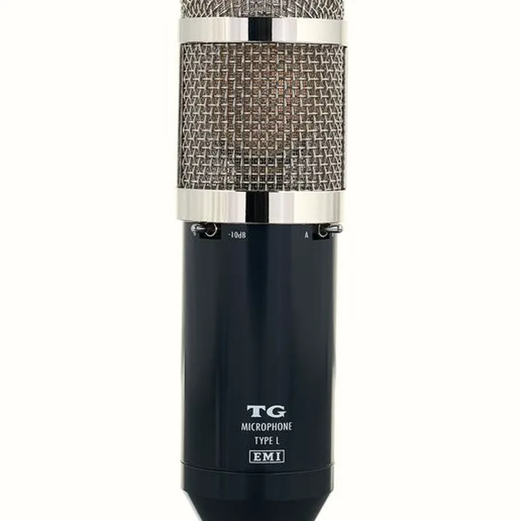 Chandler Limited TG Microphone Type L Review: Build quality check