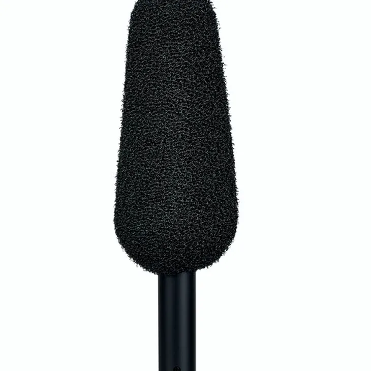 DPA 2017 Shotgun Microphone Review: Most important functions and specs