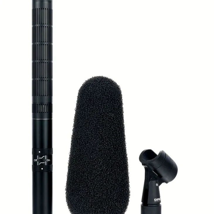 DPA 4017B Review: Expert sound analysis