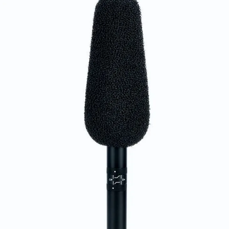 DPA 4017B Review: Expert sound analysis