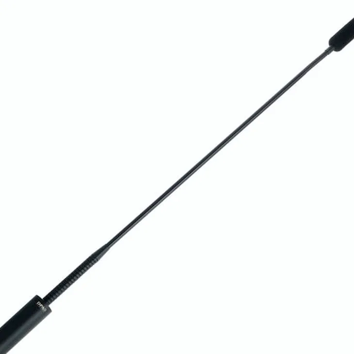 DPA 4098-DC-G-B01-045 Review: A good microphone choice for 2026?