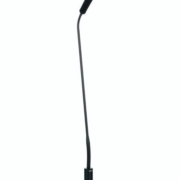 DPA 4098-DC-G-B01-045 Review: A good microphone choice for 2026?