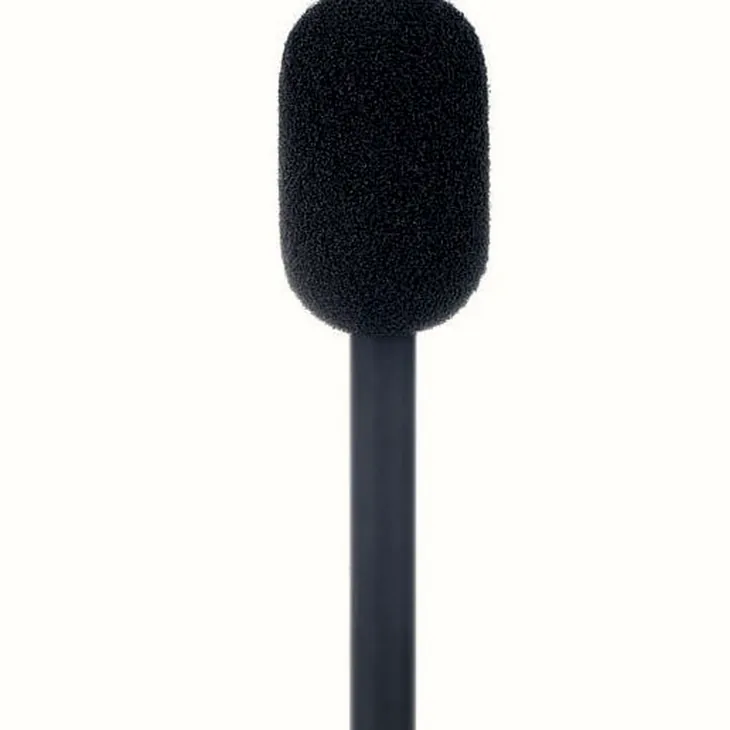 DPA ST4006A Review: Before you buy this mic