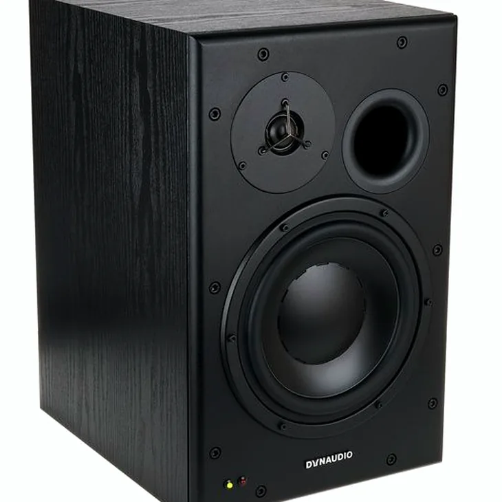 Dynaudio BM15A left Review: Checking reliability in the mix