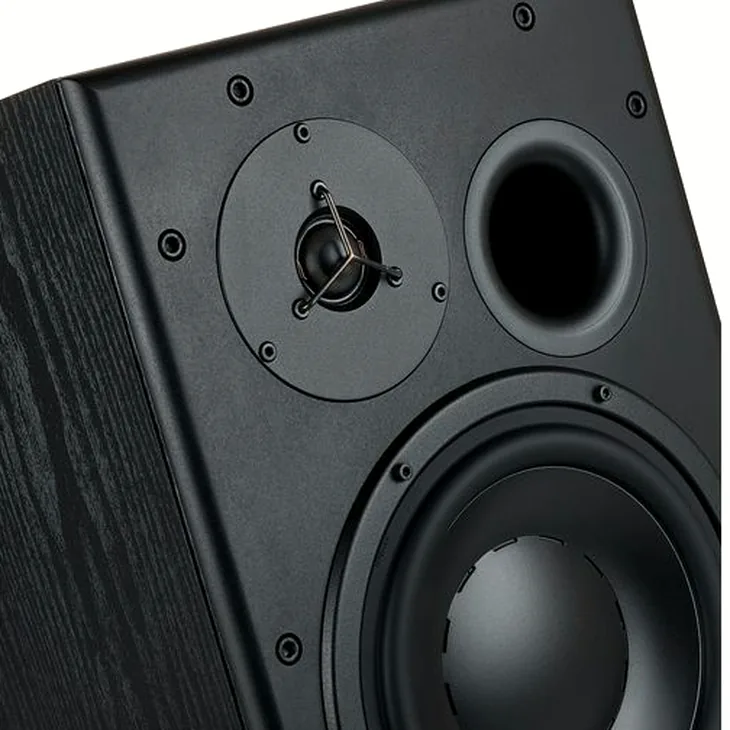 Dynaudio BM15A left Review: Checking reliability in the mix