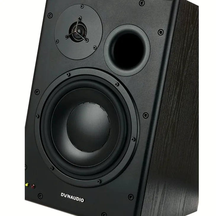 Dynaudio BM15A left Review: Checking reliability in the mix