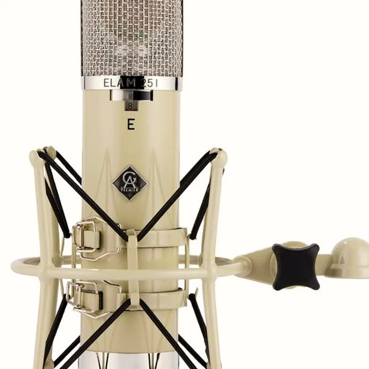 Golden Age Audio Premier ELA M 251E Review: Polar patterns and filters explained