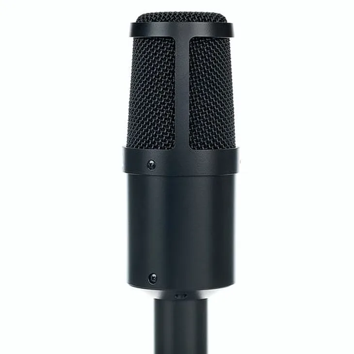 Heil Sound PR30 Black Matte Review: Full recording analysis