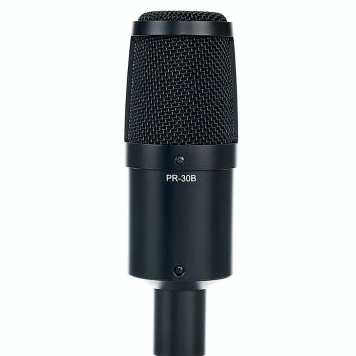 Heil Sound PR30 Black Matte Review: Full recording analysis