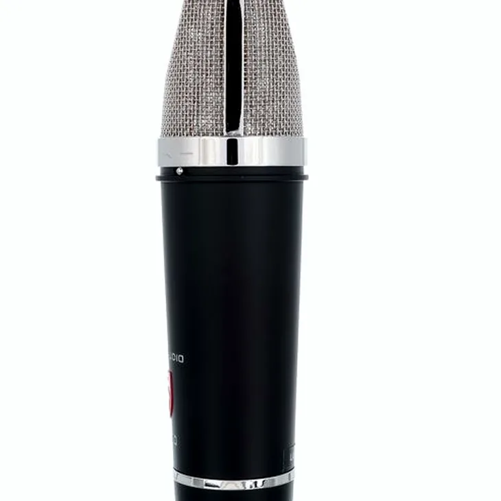Lauten Audio Series Black LA-220 V2 Review: What you need to know before buying