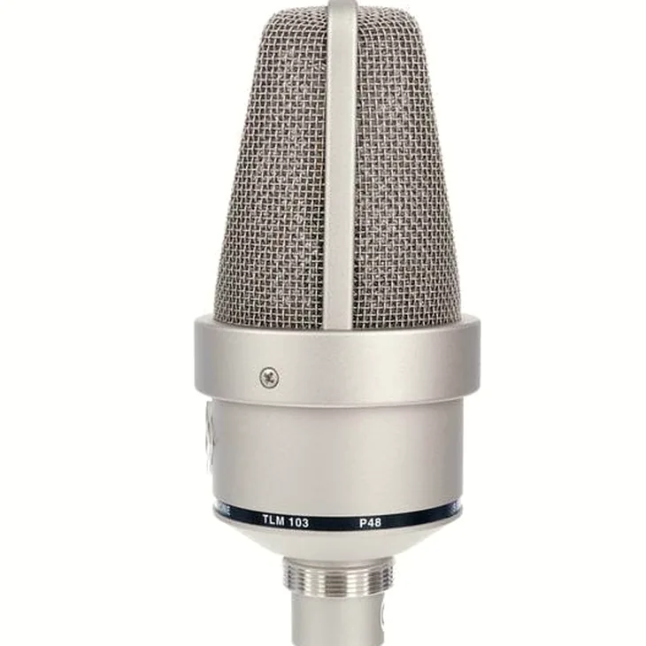 Neumann TLM 103 Mono Set Review: The whole truth about this mic
