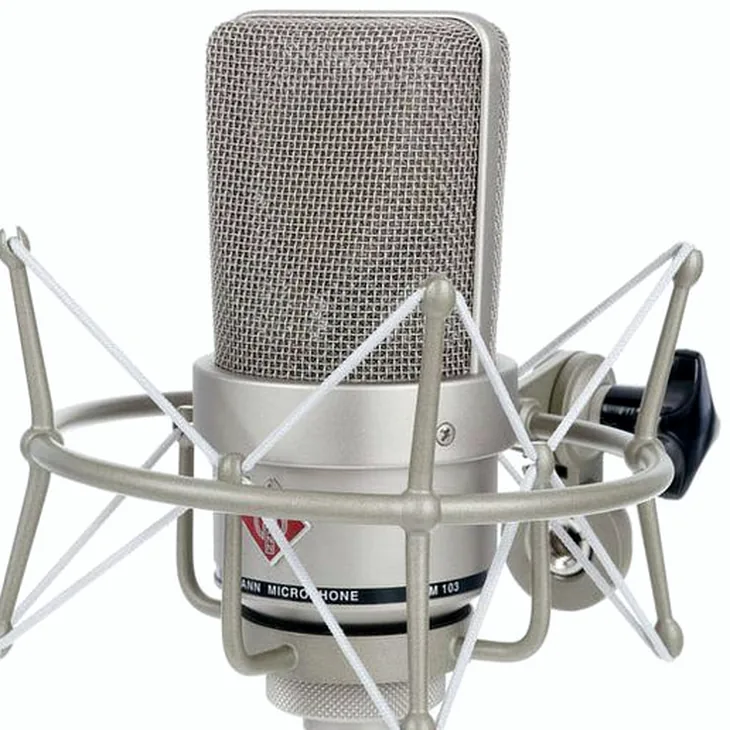 Neumann TLM 103 Mono Set Review: The whole truth about this mic