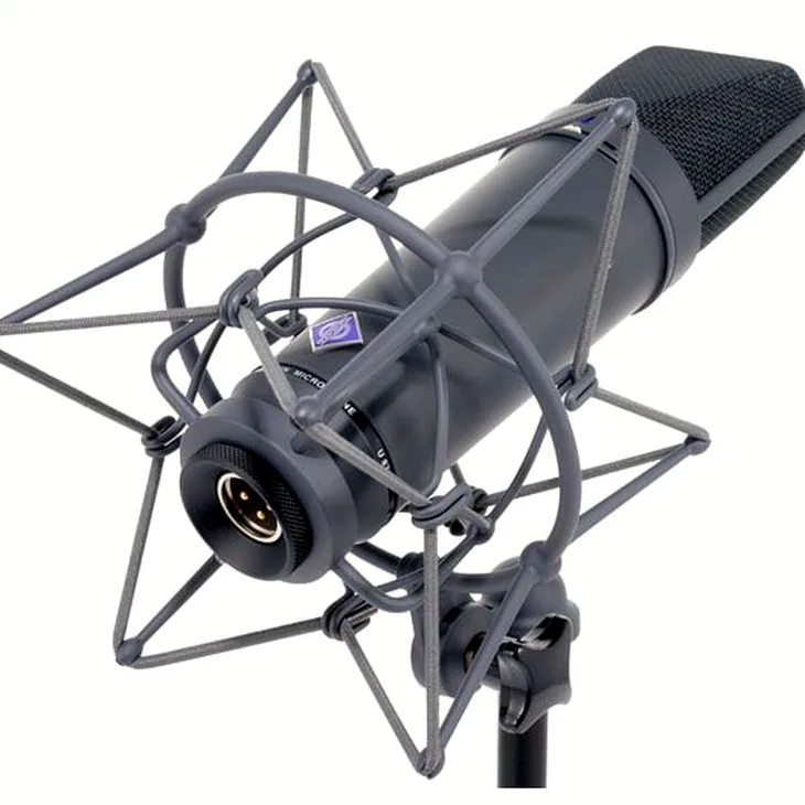 Neumann U87 AI MT Stereo Set Review: Polar patterns and filters explained