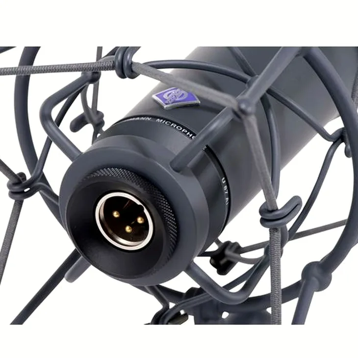 Neumann U87 AI MT Stereo Set Review: Polar patterns and filters explained