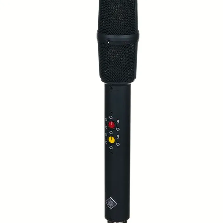 Neumann USM 69I mt Review: A smart purchase for producers?