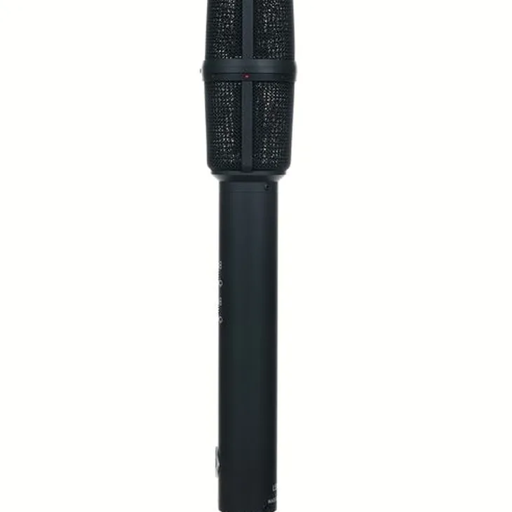 Neumann USM 69I mt Review: A smart purchase for producers?