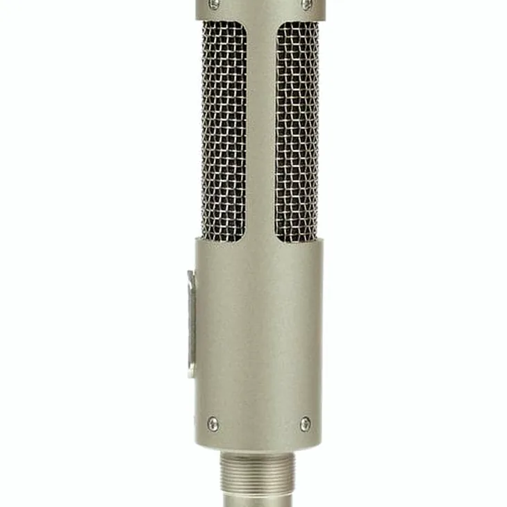 Royer Labs R-10 Review: Before you buy this mic