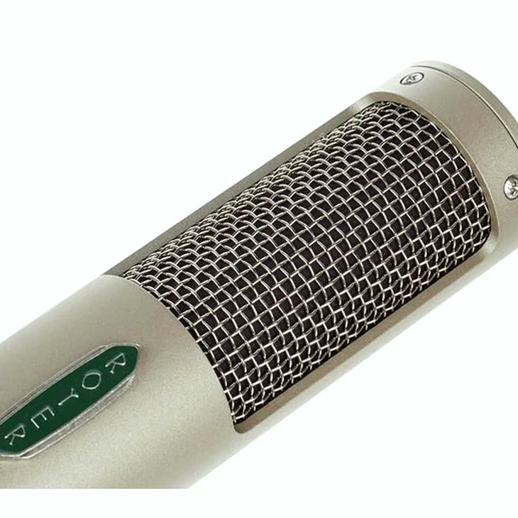 Royer Labs R-10 Review: Before you buy this mic