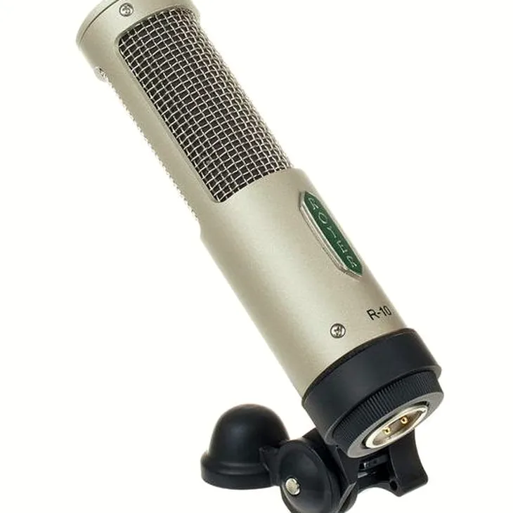 Royer Labs R-10 Review: Before you buy this mic