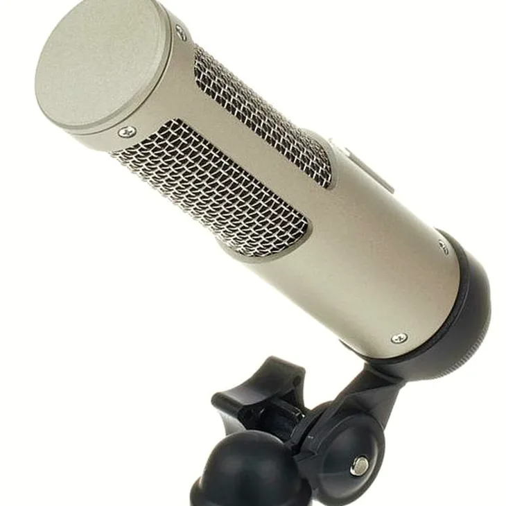Royer Labs R-10 Review: Before you buy this mic