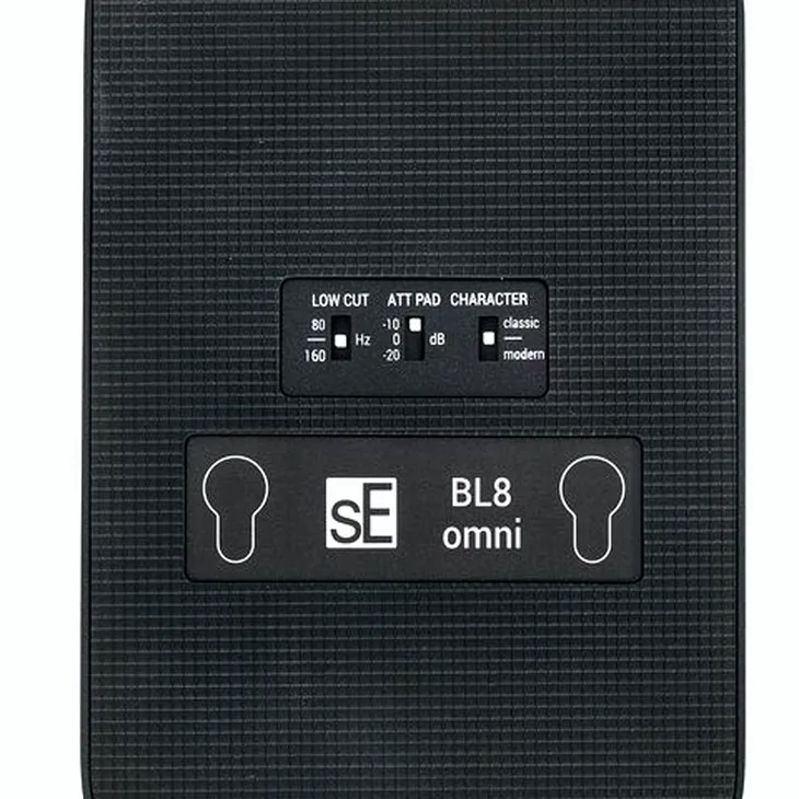 SE Electronics BL8 Omni Review: 2026 Edition – does it still rule?