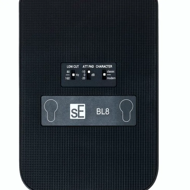 SE Electronics BL8 Review: Final thoughts and rating