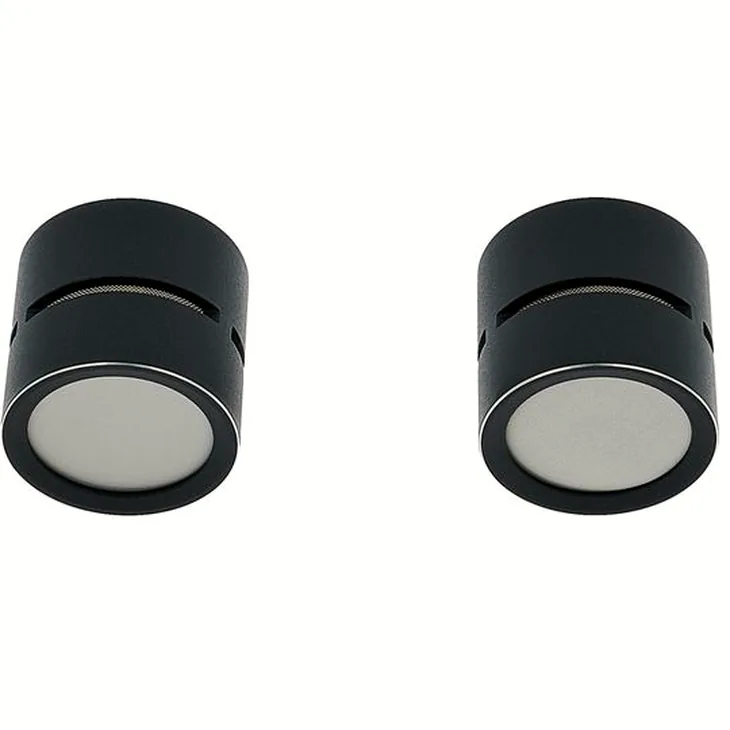 SE Electronics sE8 Cardioid Stereo-Kapselset Review: Pros and cons of the model