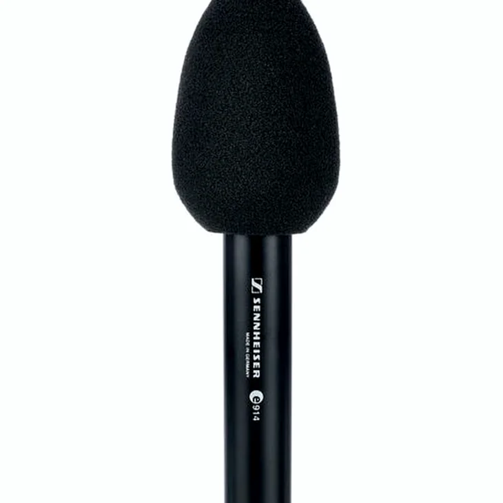 Sennheiser E 914 Review: Comprehensive overview