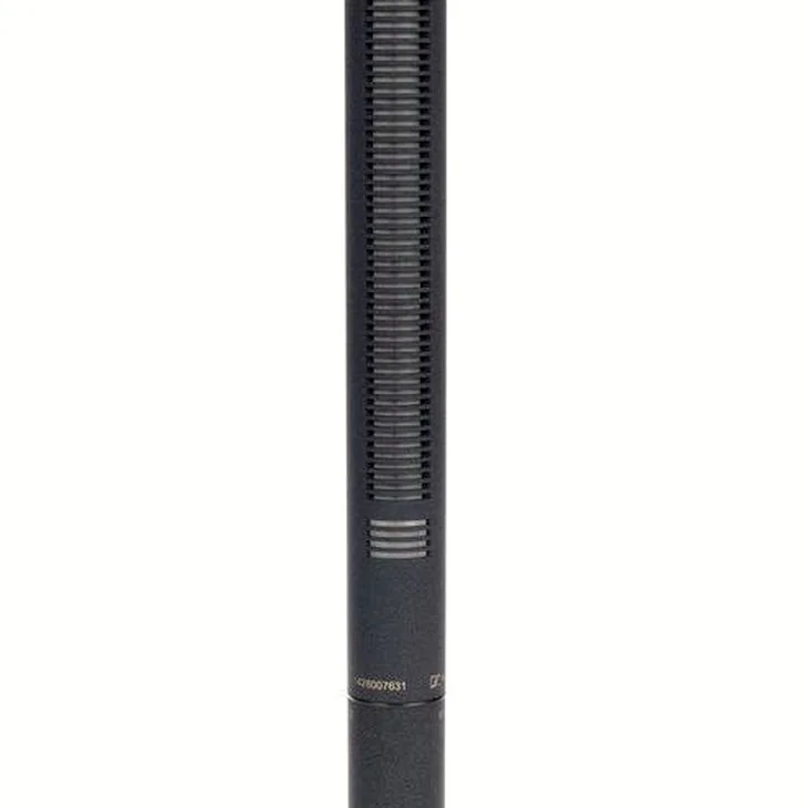 Sennheiser MKH 8060 Review: Honest user verdict