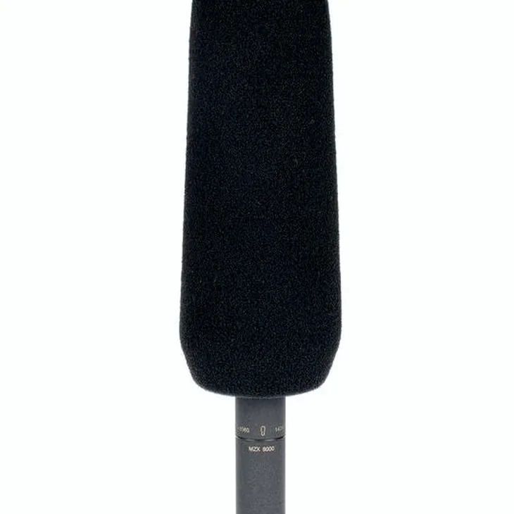 Sennheiser MKH 8060 Review: Honest user verdict