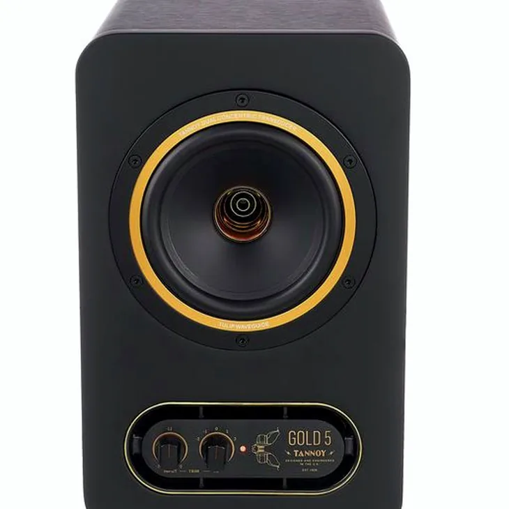 Tannoy Gold 5 Review: Before you buy these speakers