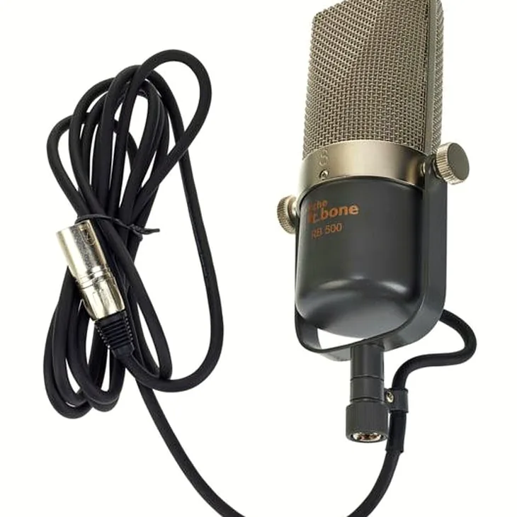 the t.bone RB 500 Review: Is it still worth choosing?