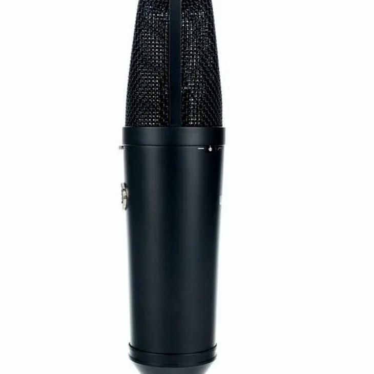 Warm Audio WA-87 R2B Review: Microphone test summary